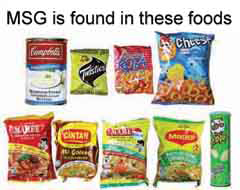 msg-food1