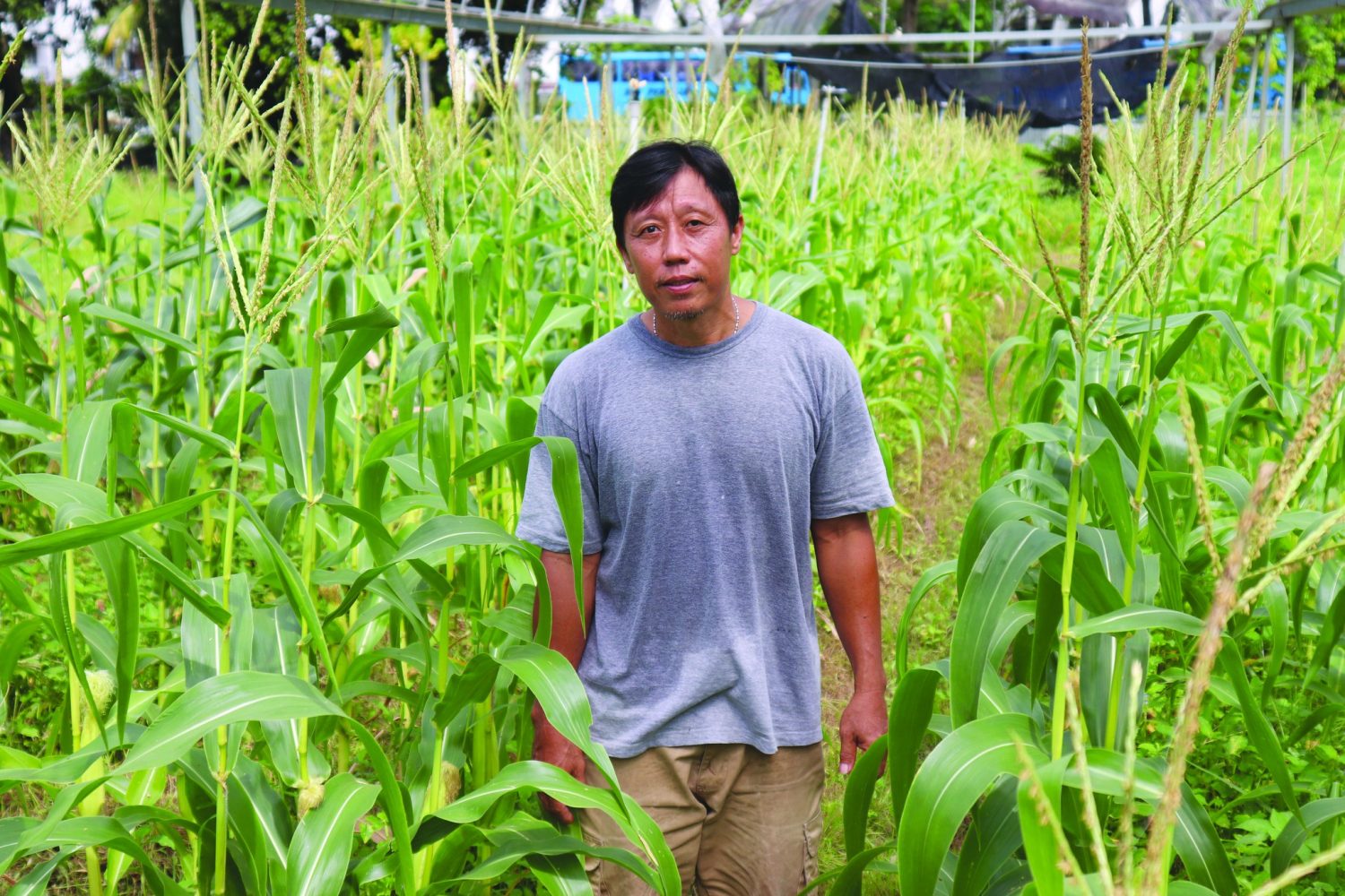 Lee Kin Leong “AGROEKOLOGI UNTUK SEMUA: Inisiatif di Malaysia” – PETANI – Persatuan ...