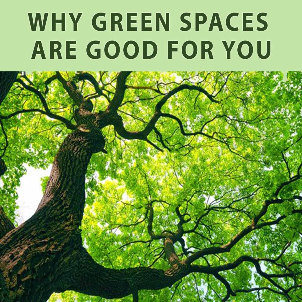 WHY GREEN SPACES ARE GOOD FOR YOU – Consumers Association Penang