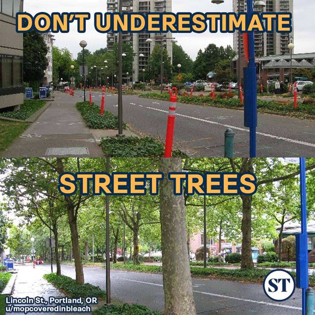 A BETTER STREET WITH TREES