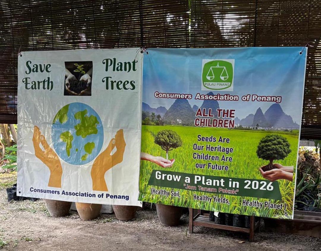 Tanam Sayur Anda Sendiri untuk Generasi Masa Depan