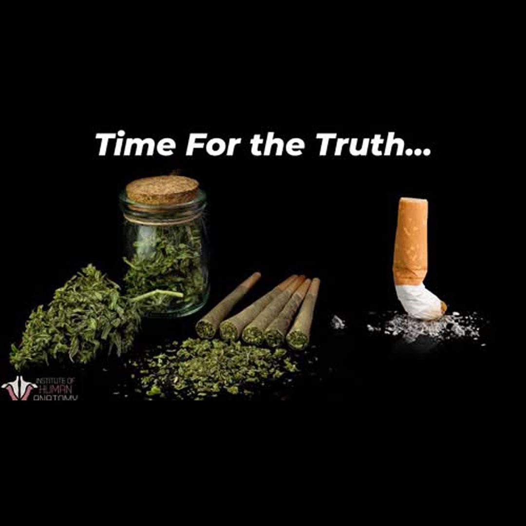 The Reality of Smoking Damage