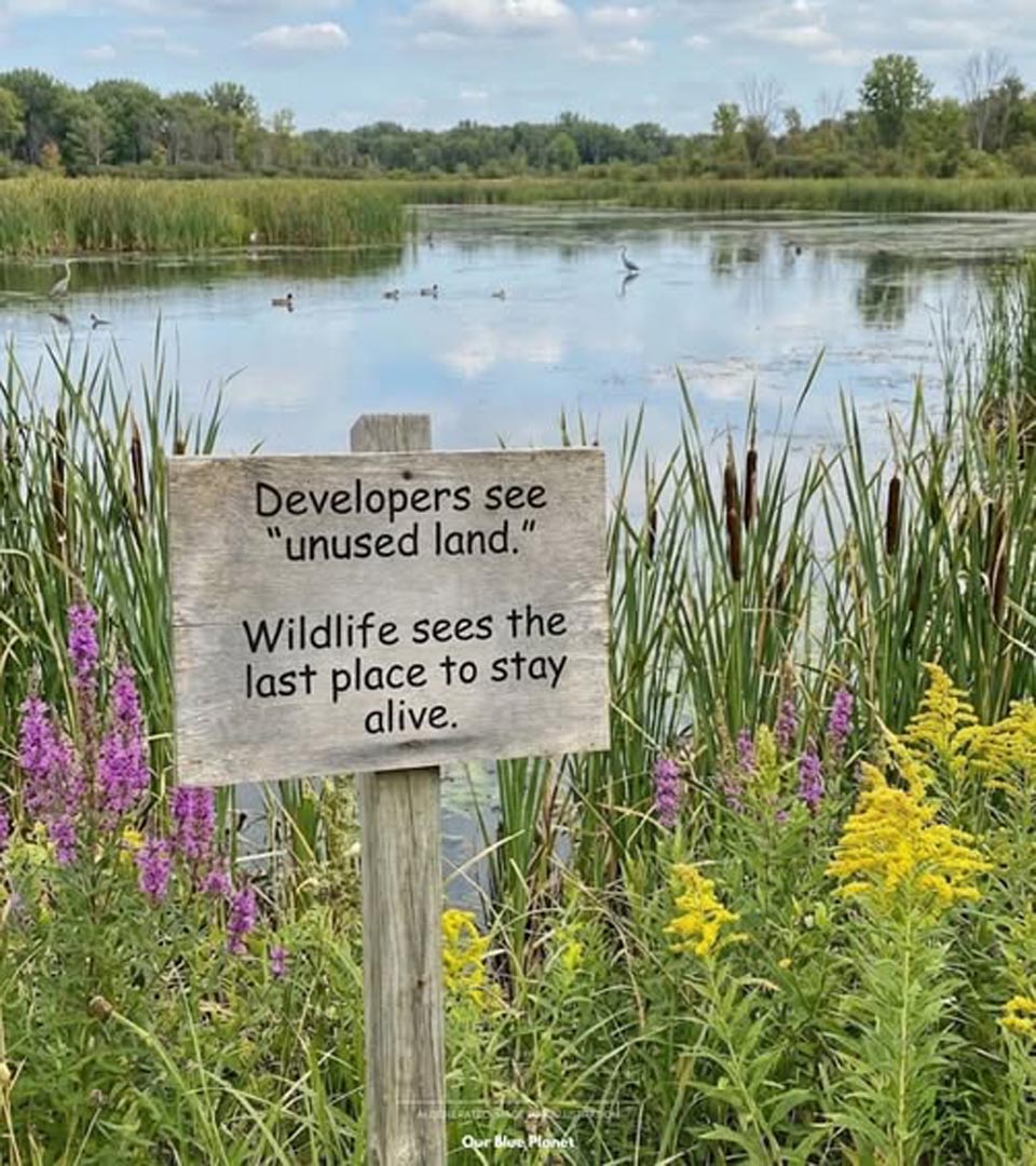 PROTECT WILDLIFE HABITATS