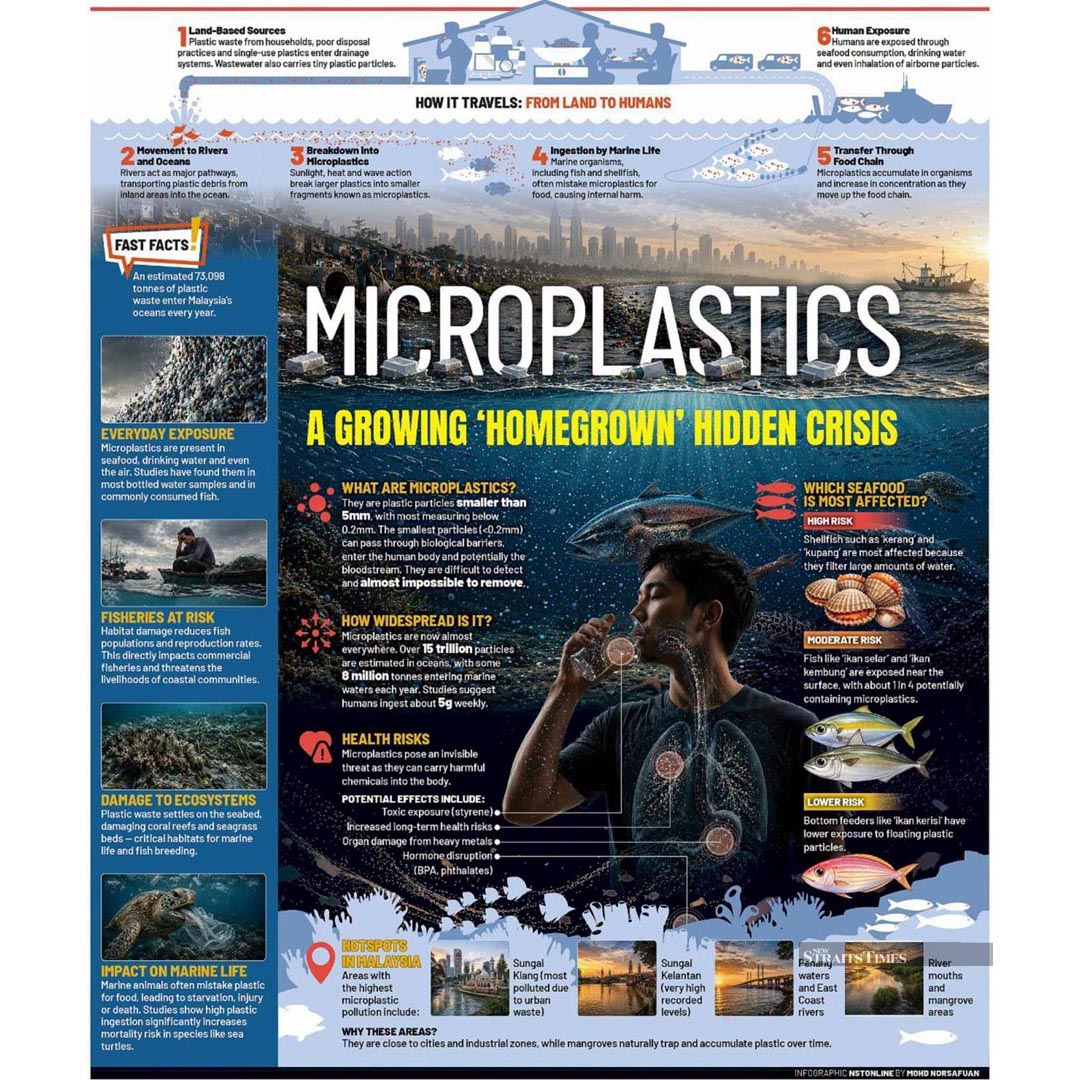 Malaysians Ingesting Up to 2,016 Microplastic Particles a Year through Fish