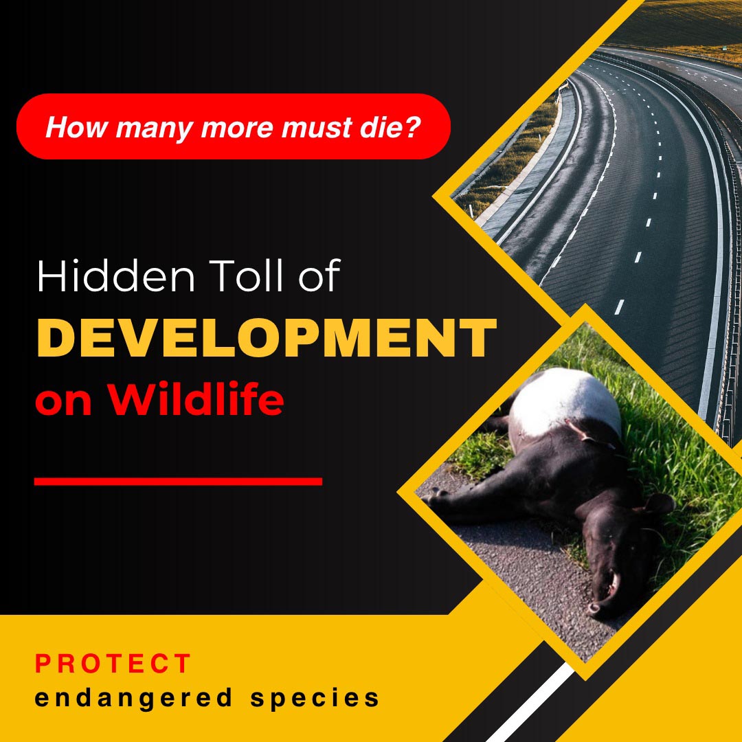 How Many More Must Die? The Hidden Toll of Development on Wildlife