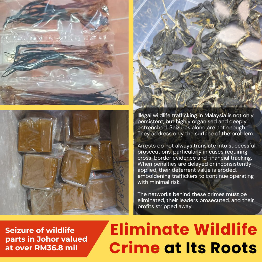 CAP Calls to Stop Wildlife Crime