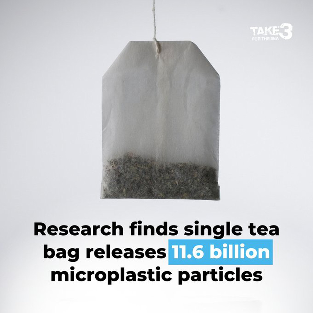 DRINKING TEA OR PLASTIC?