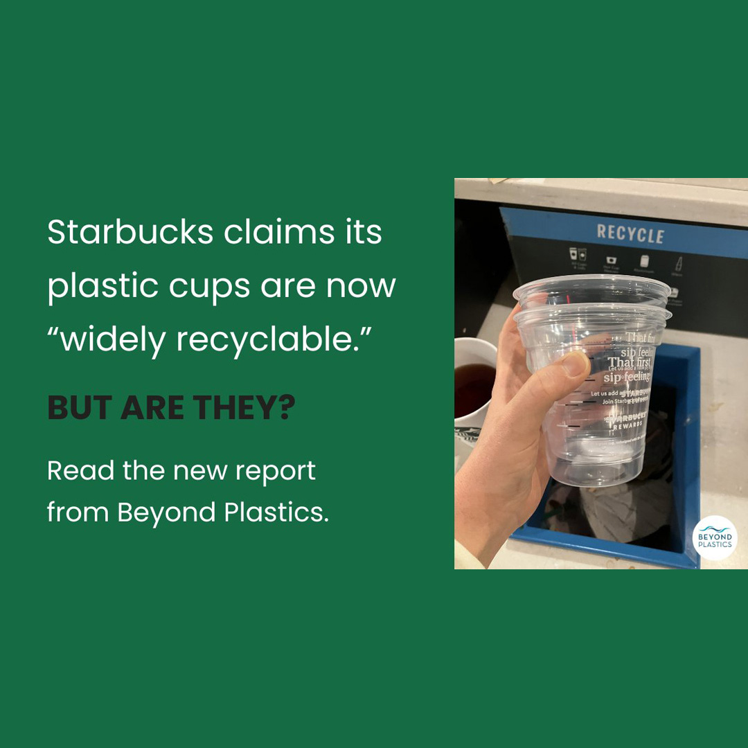 Starbucks Plastic Cups Marked Recyclable End Up in Trash, says Environmental Group