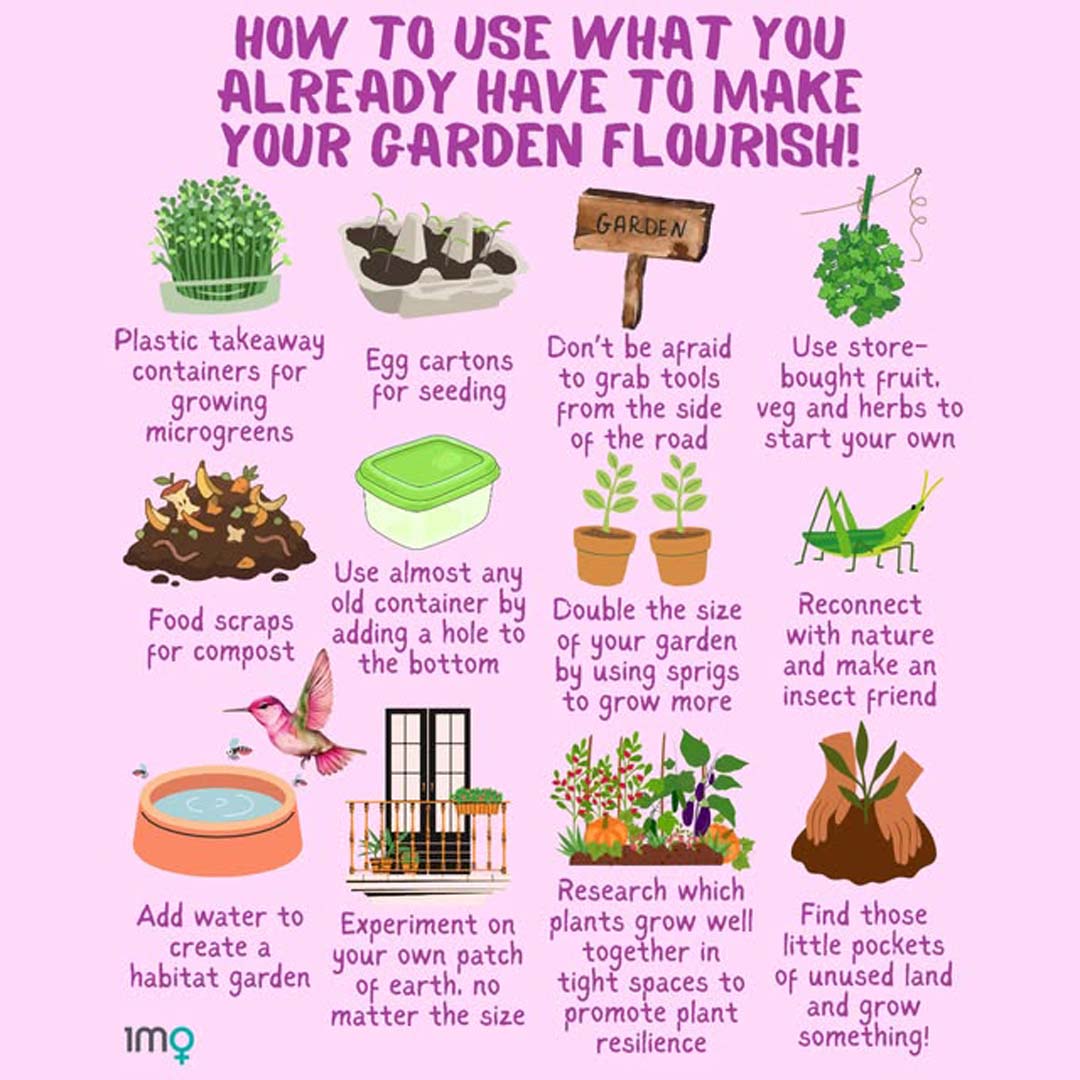 Eco-Friendly Gardening Ideas