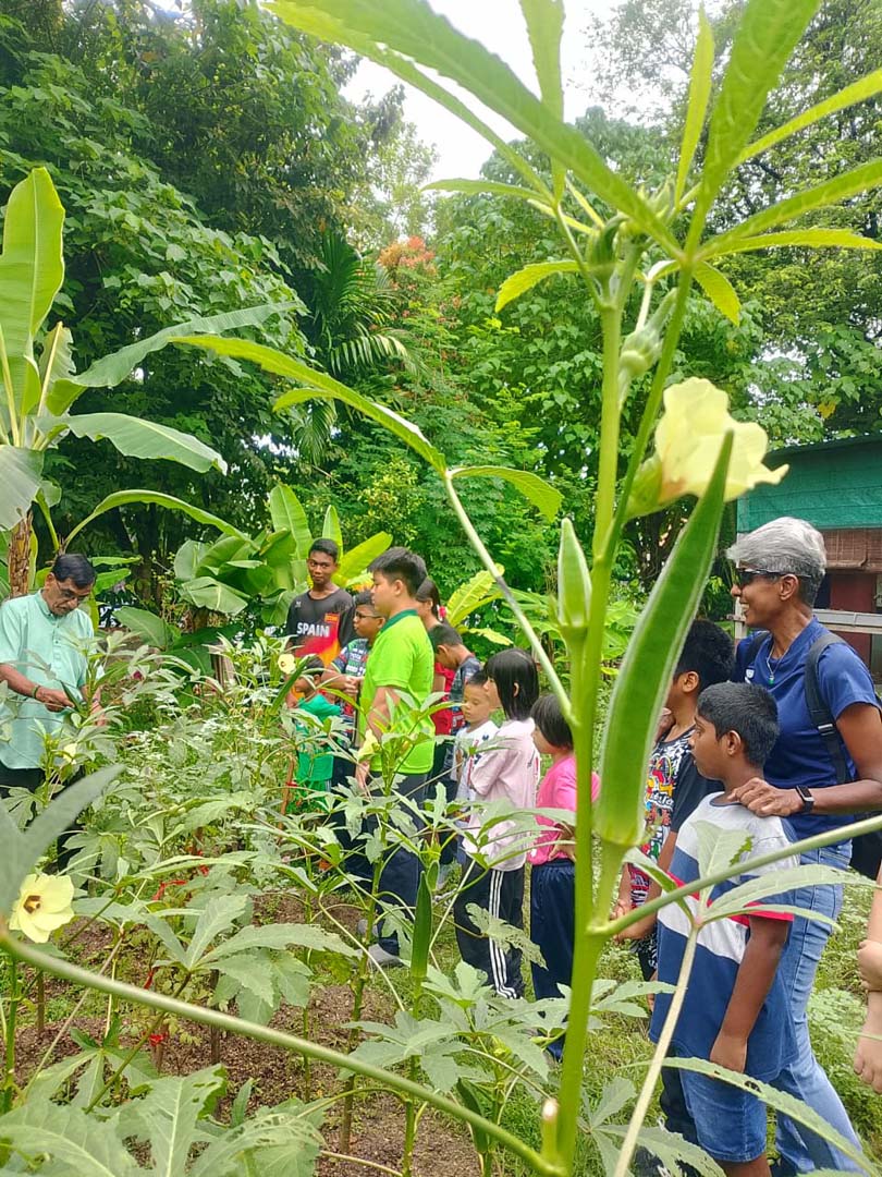 At CAP’s Urban Farm – Students Learn about Edible Gardening, and Protecting Nature
