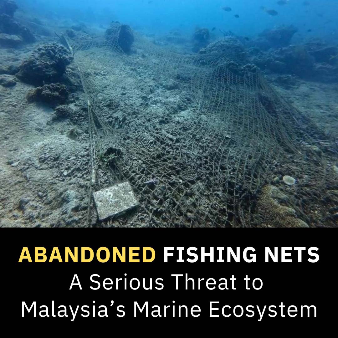 Ghost Nets Persist as a Serious Threat to Marine Biodiversity in Malaysian Waters