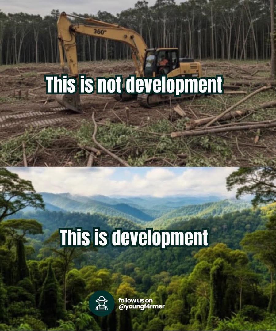 WHAT IS TRUE PROGRESS