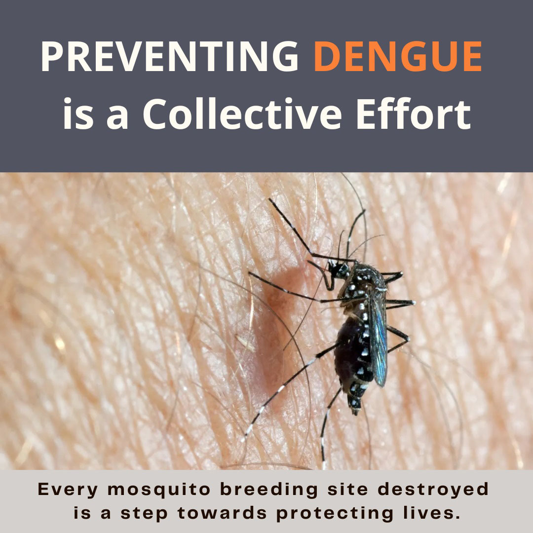 Preventing Dengue is a Collective Effort