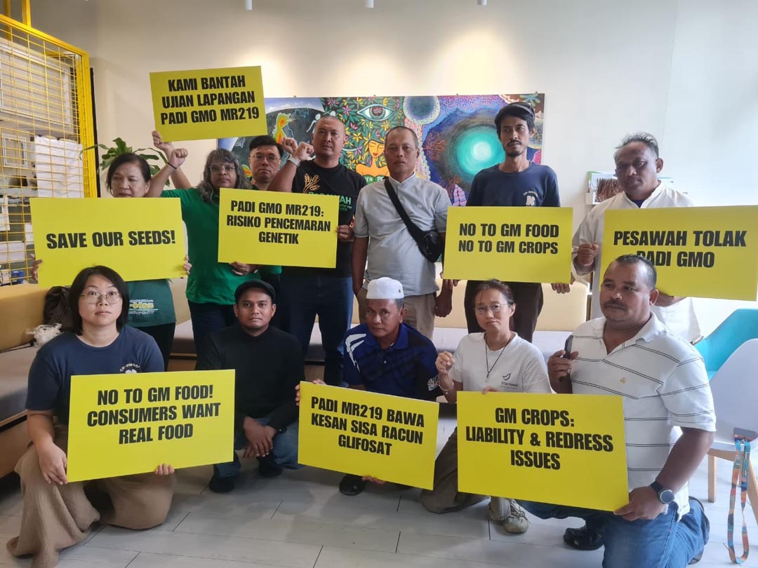 61 Organisations Submitted Feedback to the Department of Biosafety Objecting the Field Trial of GMO MR219 Rice
