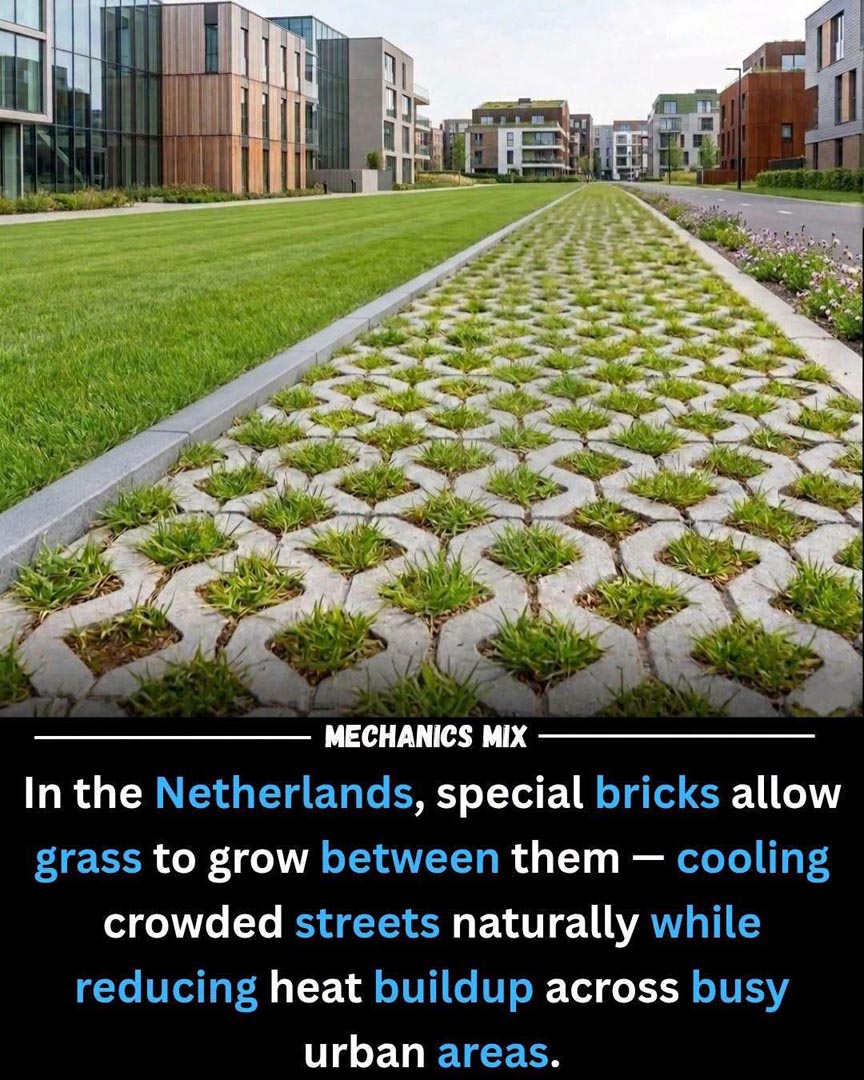 A SIMPLE WAY TO FIGHT URBAN HEAT