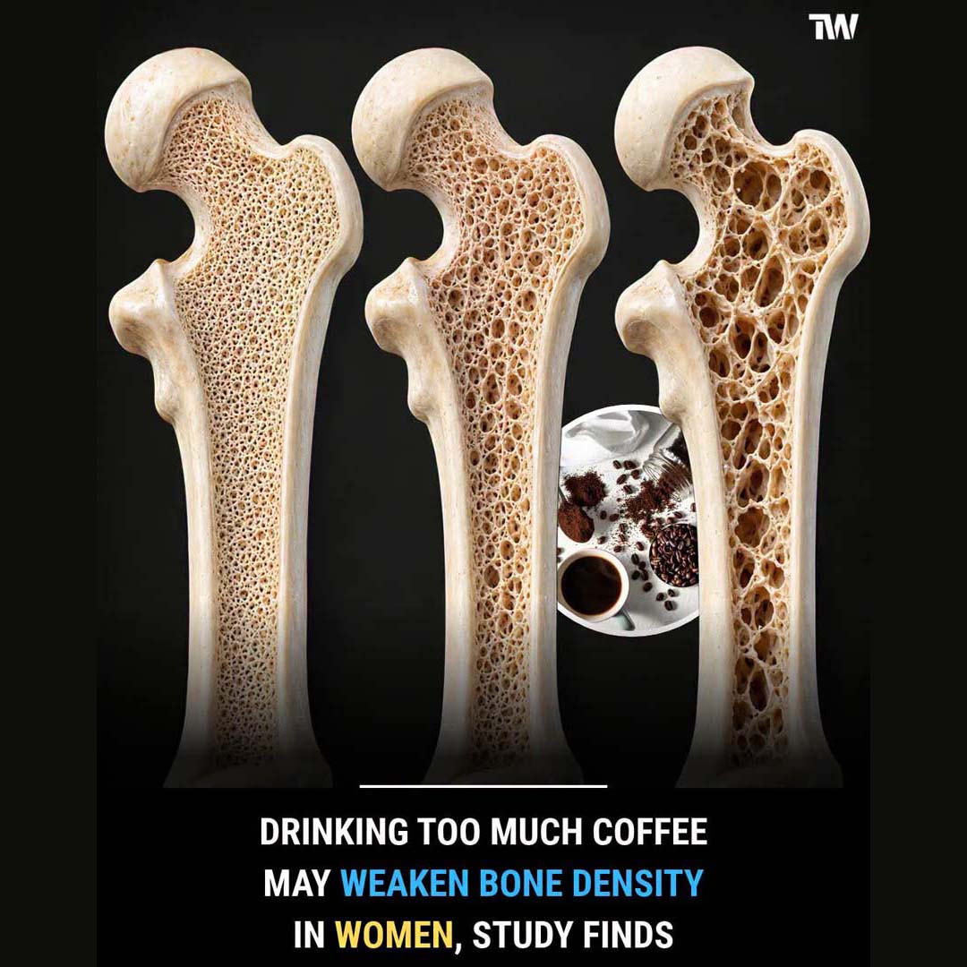 Too Much Coffee May Weaken Bones, Study Finds