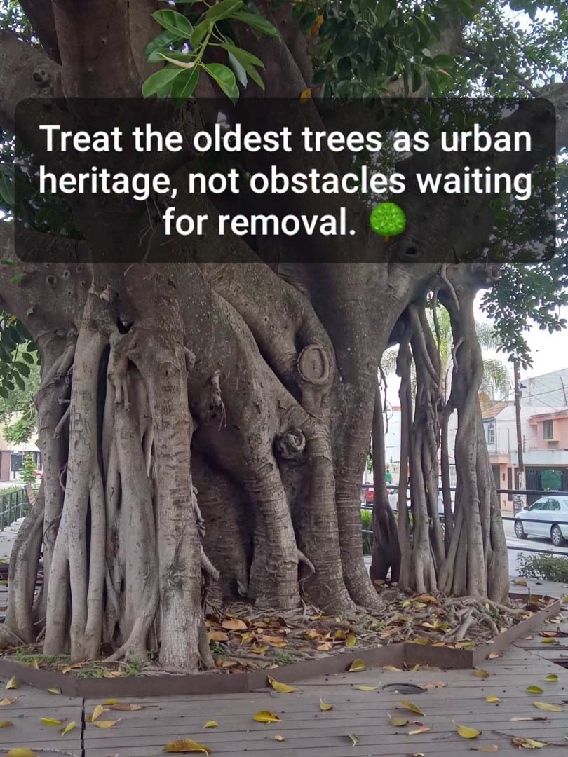 Protect Our Living Legends