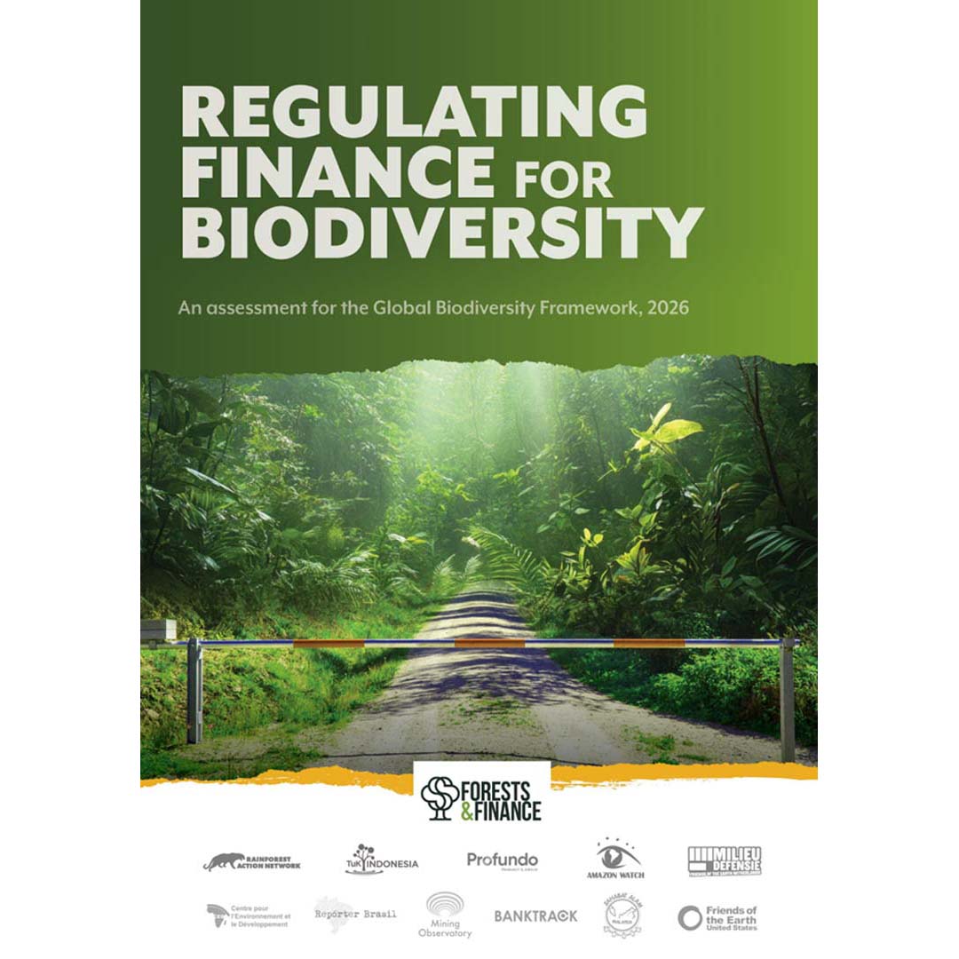 New Assessment Finds Financial Regulators Are Failing to Turn Biodiversity Commitments into Binding Rules