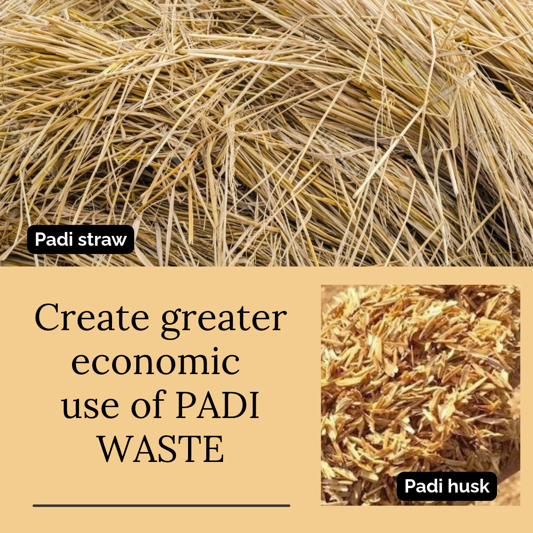CAP Urges Greater Economic Use of Padi Waste