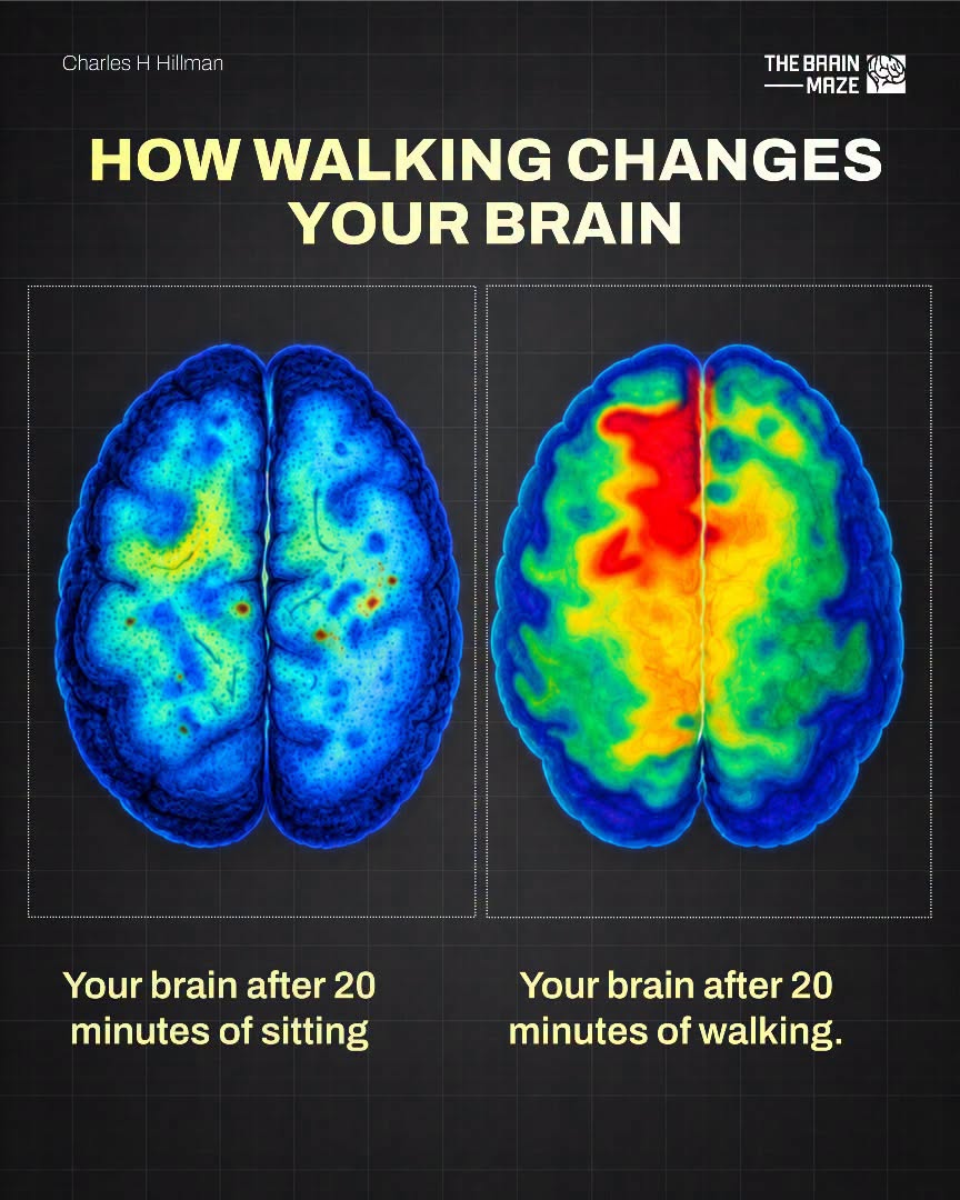 The Brain-Changing Power of a 20-Minute Walk